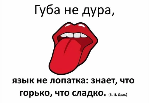 Губа не дура, язык не лопатка